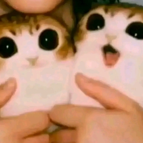 Other - UNLISTED LIVE SHOW ITEM